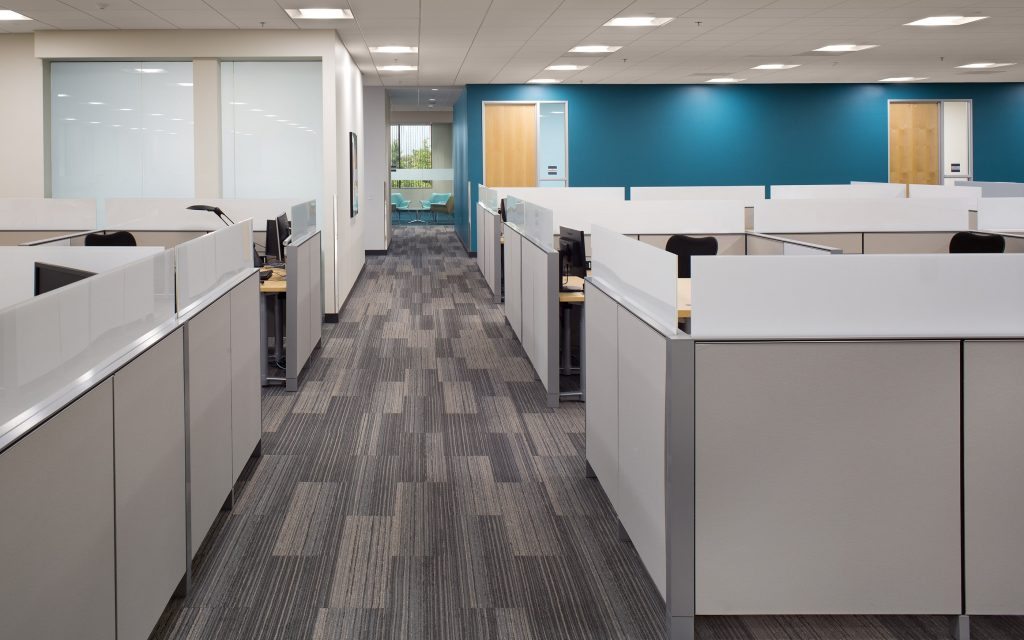 A modern office space designed by California-based general contractor Level 10 Construction, featuring rows of empty cubicles partitioned by low walls. The floor boasts a grey carpet pattern, complemented by blue accent walls and wooden doors. Overhead lights ensure the area is well-lit.